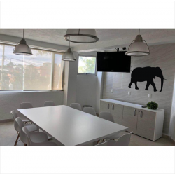 Elefante 96